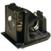 Lampa pre projektor Optoma THEME-S H78DC3 (SP.L3703.001) varianta: Originálna lampa bez modulu