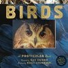 Birds - Dan Kainen, Mara Grunbaum, Workman Publishing