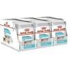 Royal Canin Urinary Care Dog Loaf 36 x 85 g