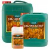 Canna Calmag Agent 10 l