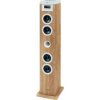 Reproduktor Thomson DS121CD
