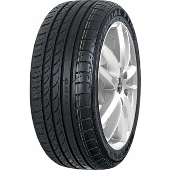 Minerva F105 255/35 R19 96W