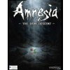 Amnesia: The Dark Descent (Pád do temnoty)