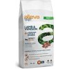 Alleva HOLISTIC dog adult medium & maxi jahňacie & jelenie mäso 2 kg