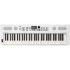 Roland GO:KEYS 5 Keyboard s dynamikou White
