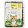 Gimpet kočka Tráva Hy-Grass 150g