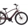Elektrobicykel Electra Townie Path Go! 10D EQ Step-Over Matte Oxblood 2025 M