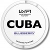 Cuba White blueberry 16mg/g 20 vrecúšok
