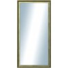DANTIK - Zrkadlo v rámu, rozmer s rámom 50x100 cm z lišty Ferrosa zlatá (3142)