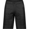 Pánske zimné šortky Scott Insuloft Light PL