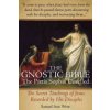 The Gnostic Bible: The Pistis Sophia Unveiled (Aun Weor Samael)