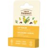 Green Pharmacy LIP BALM - balzám na pery, 3.6 g JOJOBA & SHEA - Jojoba a bambucké maslo pre regeneráciu pier