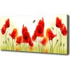 Foto obraz na plátne Maky 100x50 cm