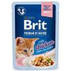 Brit Premium Cat D Fillets in Gravy for Kitten 85g