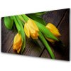 Obraz na akrylátovom skle Tulipány kvety 100x50 cm