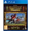 Harry Potter Quidditch Champions Deluxe Edition