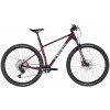 Horský bicykel Pells Duke 1 2024 eggplant