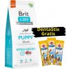 BRIT CARE Hypoallergenic Puppy Lamb 12kg + 3x DentaStix ZADARMO