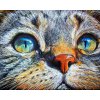 Gaira® Diamantové maľovanie Mačička DP383