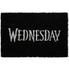 Rohožka Wednesday 60x40cm