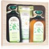 Green Pharmacy Herbal Care čistiaci šampón pre normálne vlasy 350 ml + čistiaci kondicionér pre normálne vlasy 300 ml + krém na ruky s aloe vera 100 ml + balzam na pery 3,6 g kozmetická sada