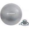 Schildkröt Gymnastic Ball 55cm - Strieborný