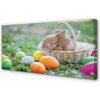 Obraz na plátne králiky vajcia 100x50 cm