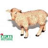Atlas C Ovce 9 cm