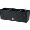 Prosperplast Rato Case Truhlík 51,4 x 19,2 x 18,6 cm antracit