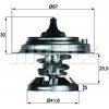 MAHLE Termostat, chladivo BEHR TX 29 75D