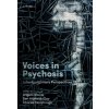 Voices in Psychosis Interdisciplinary Perspectives (Hardback) (Pevná)