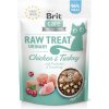 Brit Raw Treat Cat Urinary Chicken&Turkey 40 g