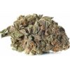 zlatéCBD Odroda konope Blueberry Haze 22% CBD 1g 0,2% THC