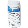 Gelacan Chondro Forte 500g