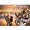 Welsh Corgi Pembroke (Wall Calendar 2026 DIN A4 landscape), CALVENDO 12 Month Wall Calendar
