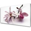 Obraz na skle Kvety rastlina príroda 100x50 cm
