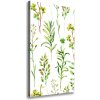 Vertikálny foto obraz na plátne Bylinky a burinu 50x100 cm