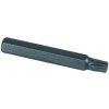 Bit 10mm TORX 55 x 75 mm, ARNDT