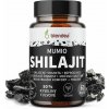 Blendea Shilajit extrakt 60 kapsúl