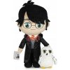 Harry Potter Harry stojaci s Hedvičkou 29 cm