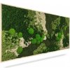 Machový obraz ORTHO FOREST, 40x40cm, drevený čierny rám