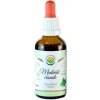Salvia Paradise Medvedí cesnak bezalkoholová tinktura kvapky 50 ml