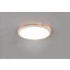 TRIO Reality R64371131 AUREO stropné svietidlo SMD LED D290mm 18W/2200lm 3000-6500K+RGB biela matná, stmievateľné, diaľkový ovládač