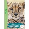 Wild Immersion 22 - Expédition au pays des guépards (Hachette Livre)(Brožovaná)