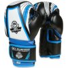 BUSHIDO Boxerské rukavice DBX ARB407v1 6 oz.