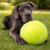 Hračka pre psa Tenisová lopta XXL 24 cm (Veľká nafukovacia lopta pre psa na aportovanie, behanie a aktívnu hru)
