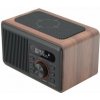 CARNEO W100 Rádio DAB+, FM, BT, Wireless charging, wood