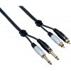 Bespeco EAY2JR300