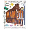 Mamutí kniha matiky (David Macaulay)(Pevná)