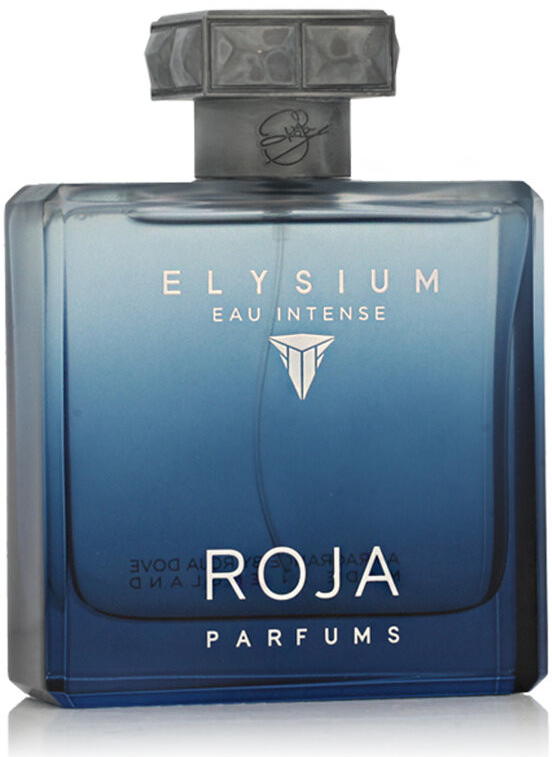 Roja Parfums Elysium Eau Intense parfumovaná voda pánska 100 ml